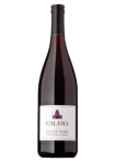 Calera - Pinot Noir Central Coast 2023