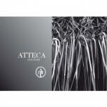 Bodegas Ateca - Atteca Old Vines Garnacha 2021